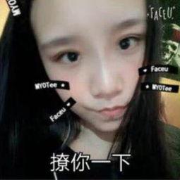 最新网友爆料视频下载软件,最新网友爆料视频下载神器,一键下载,畅享无界!