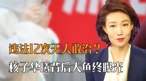 核子华曦爆料最新消息,揭秘疫情背后的惊人真相